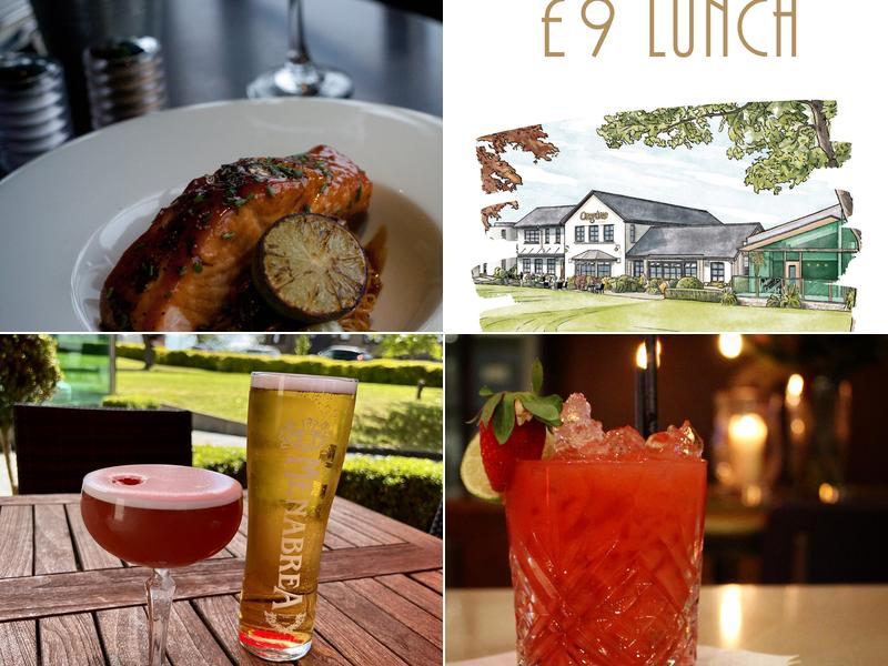 Oregano & The Eagle Lodge