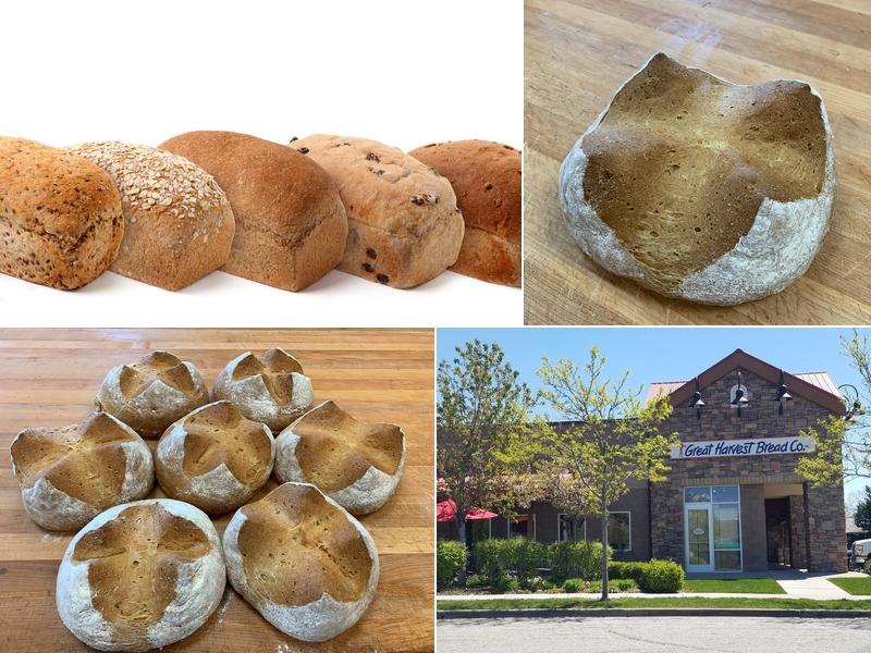 Great Harvest Bread Co.