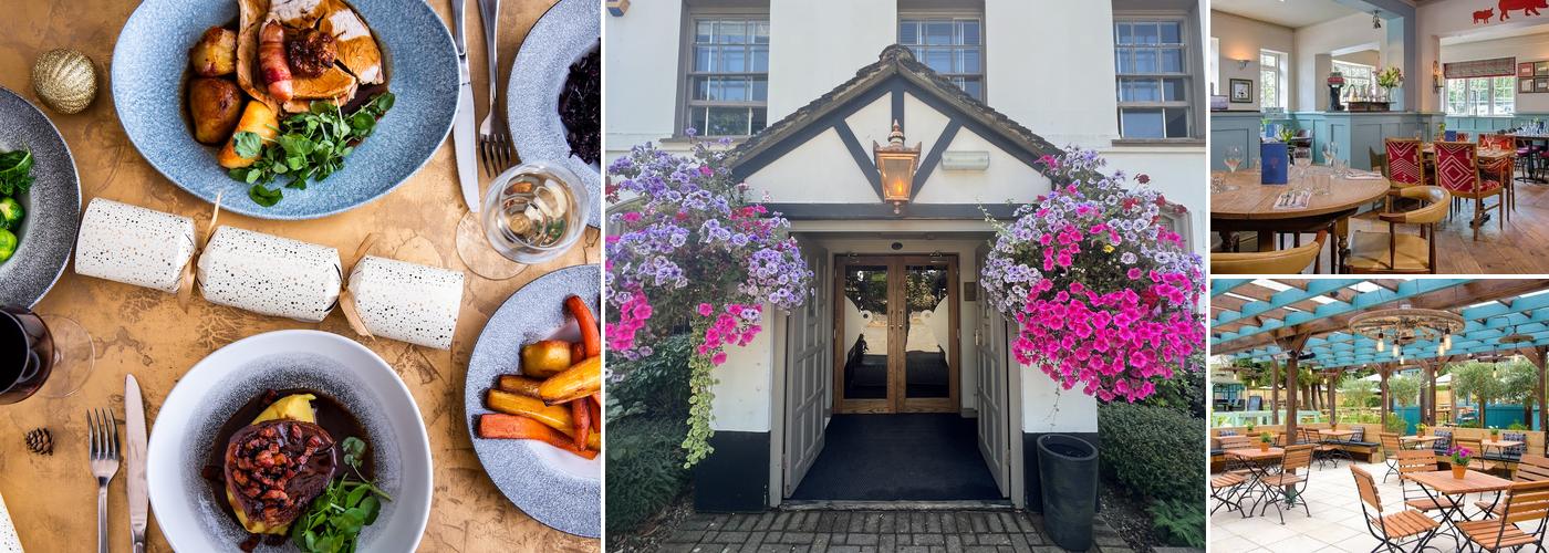 Curious Pig in the Parlour