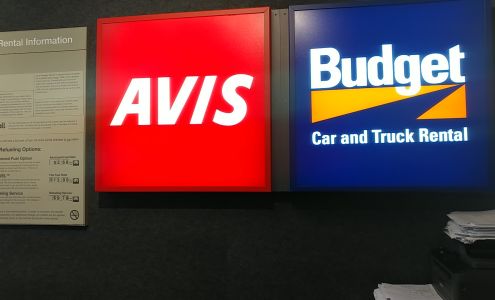 Avis Car Rental