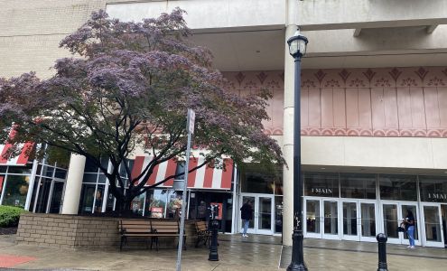 Express Willow Grove