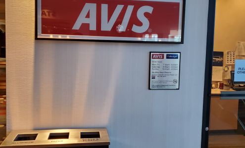 Avis Car Rental