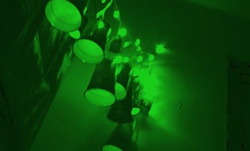 United States Postal Service