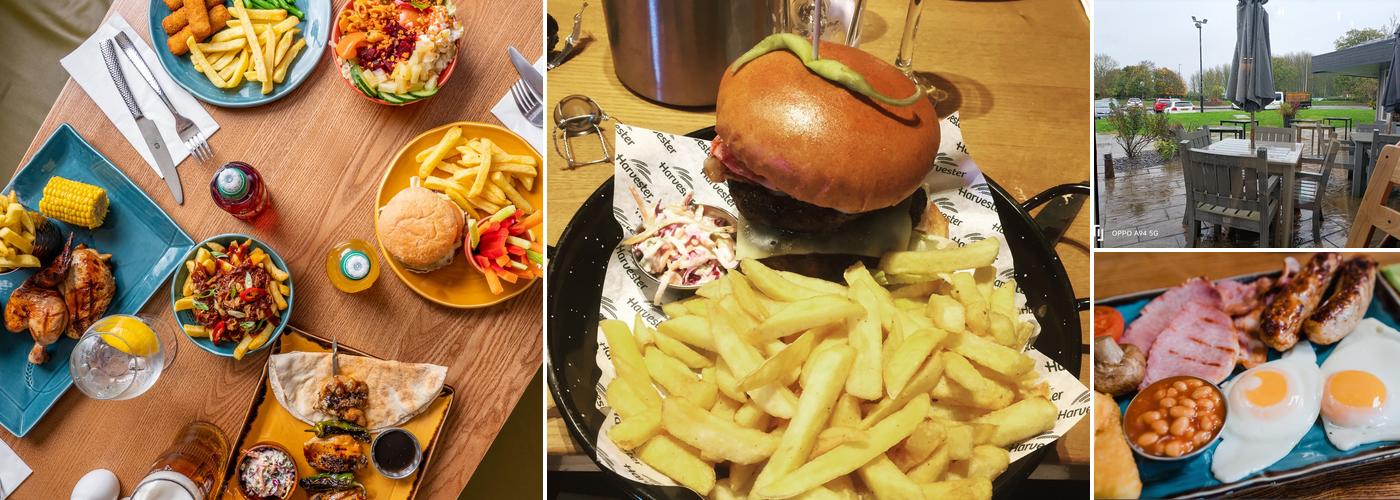 Harvester Dog Redditch