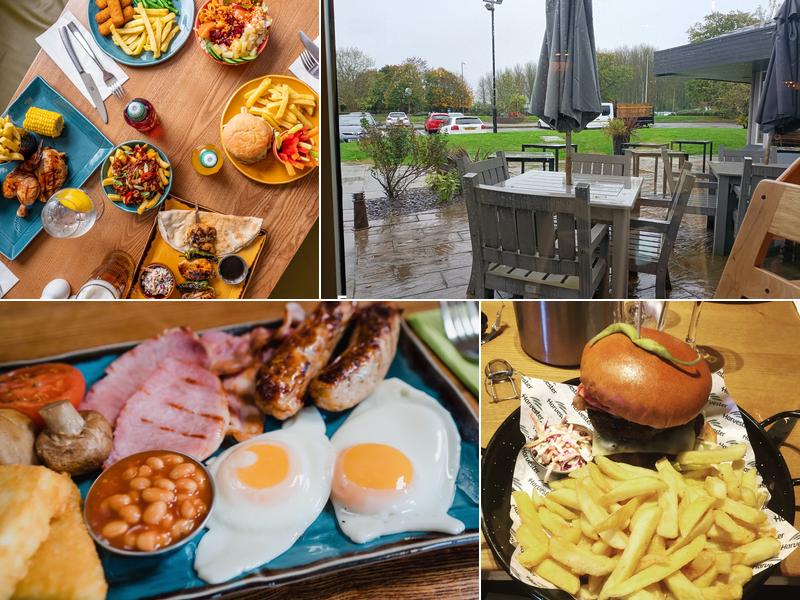 Harvester Dog Redditch