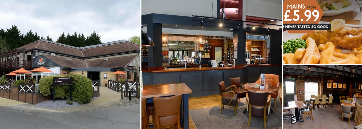 Monkey Puzzle Beefeater