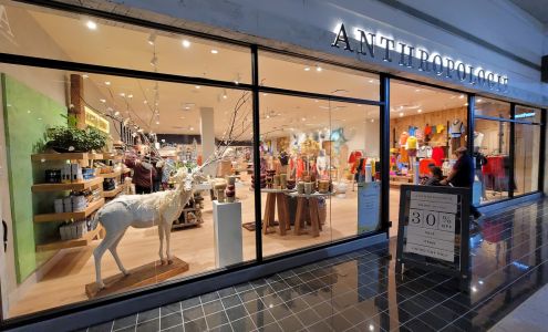 Anthropologie