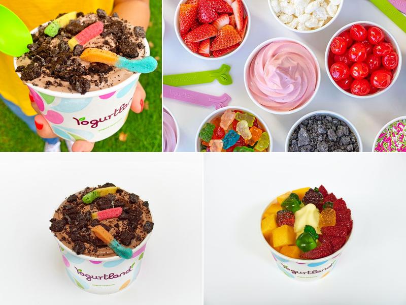 Yogurtland Centennial
