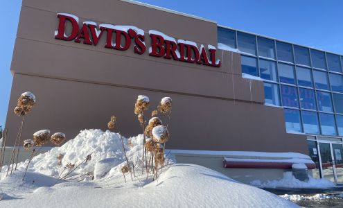David's Bridal Albany NY