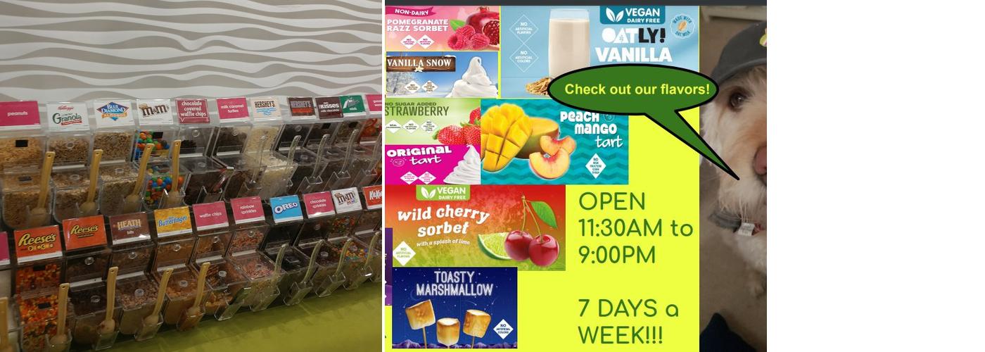 Menchie's Frozen Yogurt Menu