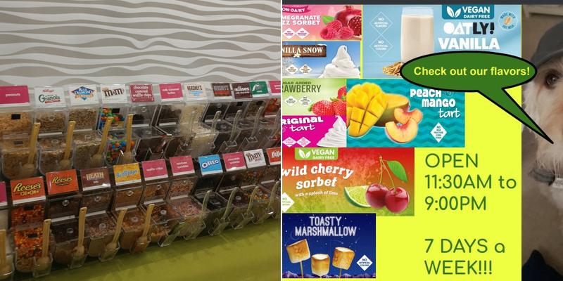 Menchie's Frozen Yogurt Menu