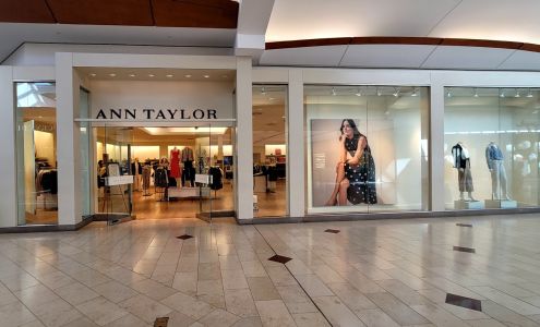 Ann Taylor