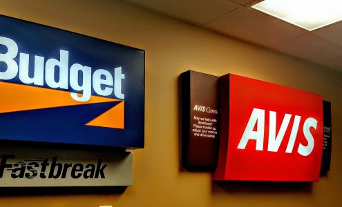 Avis Car Rental