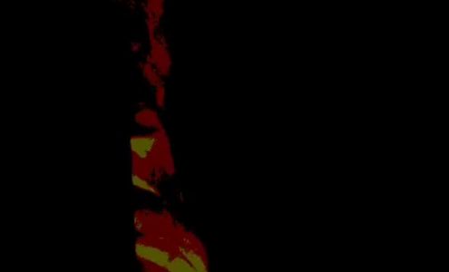 United States Postal Service