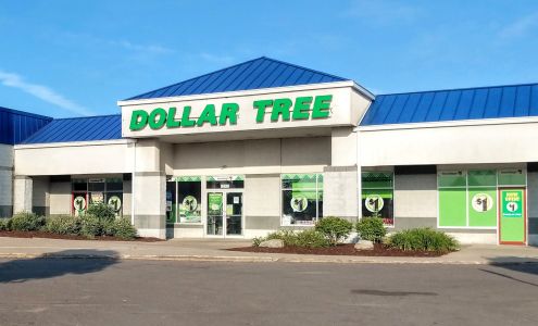 Dollar Tree DeWitt