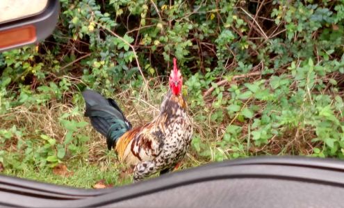 Citizens Bank Seminary