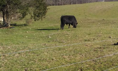 United States Postal Service