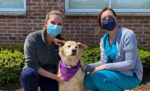 VCA Shoreline Veterinary Referral and Emergency Center