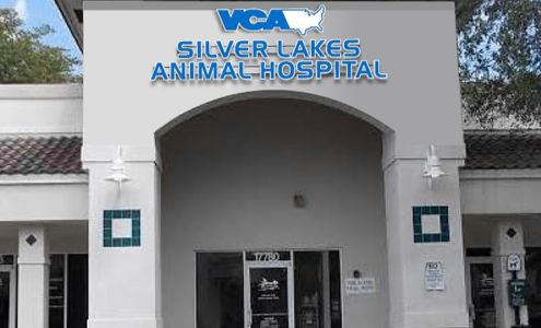 VCA Silver Lakes Animal Hospital