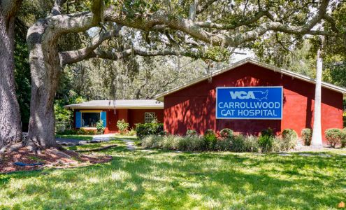 VCA Carrollwood Cat Hospital