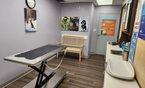 VCA Animal Medical Center