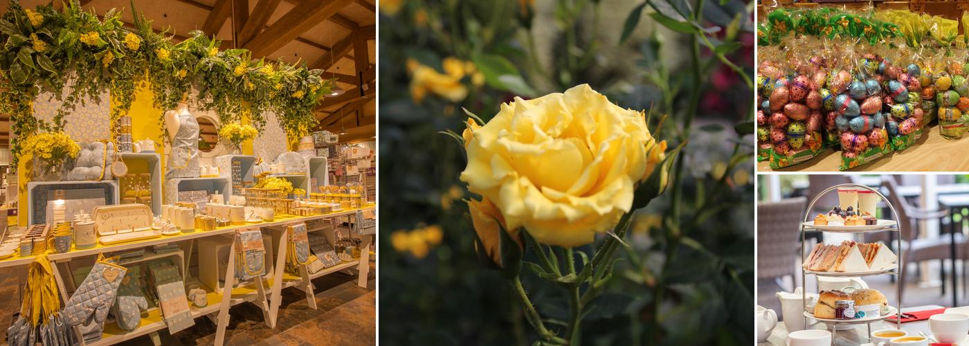 Barton Grange Garden Centre