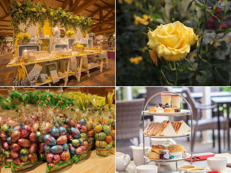 Barton Grange Garden Centre