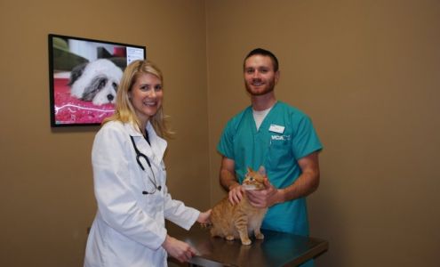 VCA Triangle Tower Animal Hospital