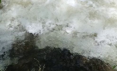 United States Postal Service