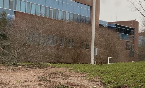 McGriff Insurance Services