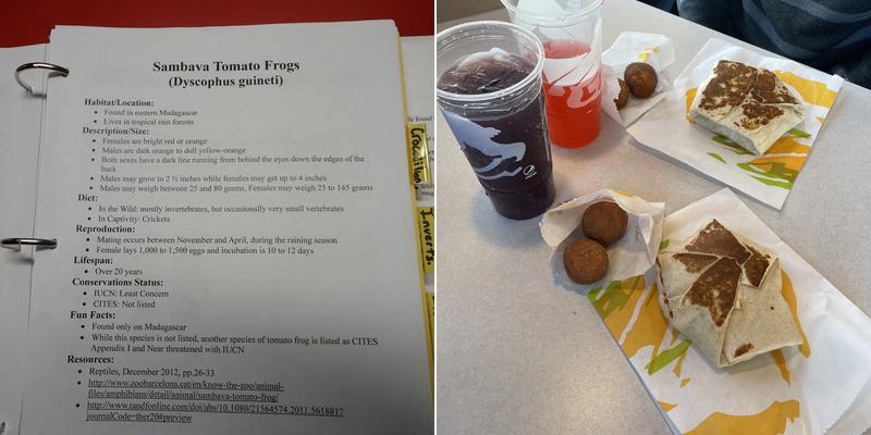 Taco Bell Menu