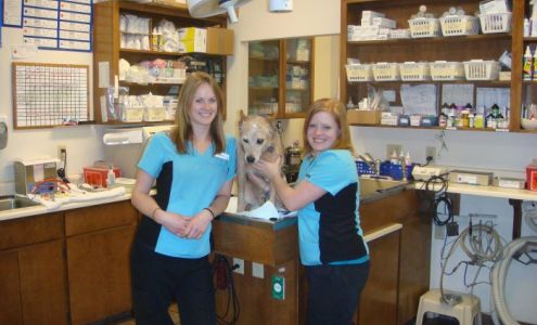 VCA Jackson Animal Hospital