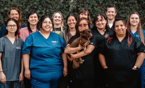 VCA Winchester Animal Hospital