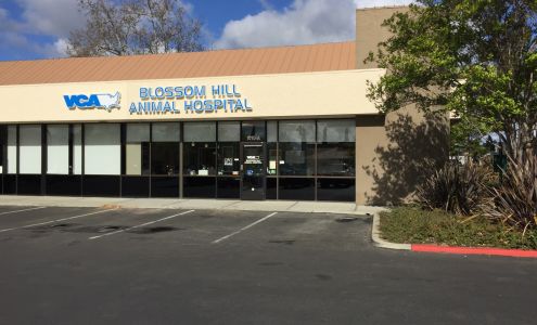 VCA Blossom Hill Animal Hospital