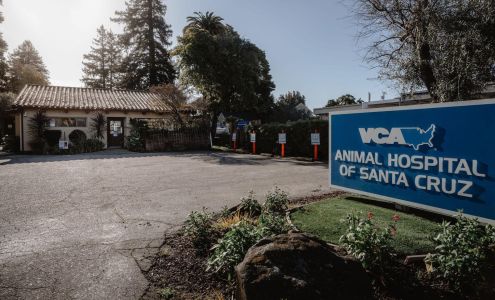 VCA Animal Hospital of Santa Cruz