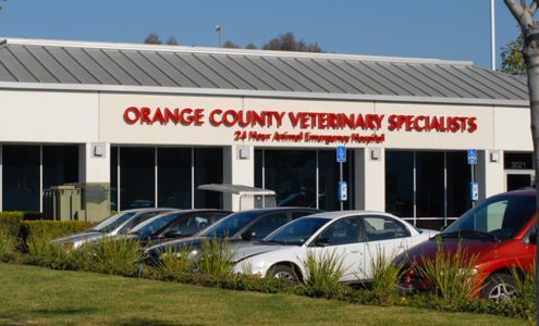 VCA Orange County Veterinary Specialists