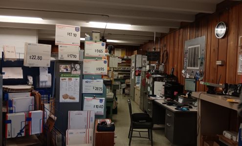 United States Postal Service Mascot