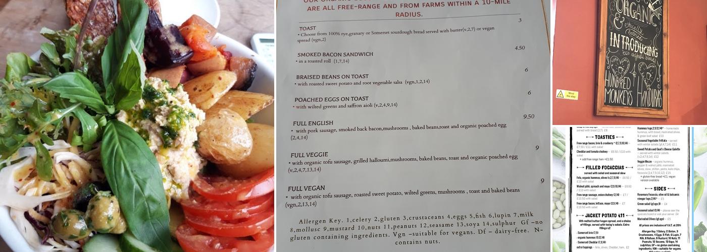 Hundred Monkeys Cafe Menu