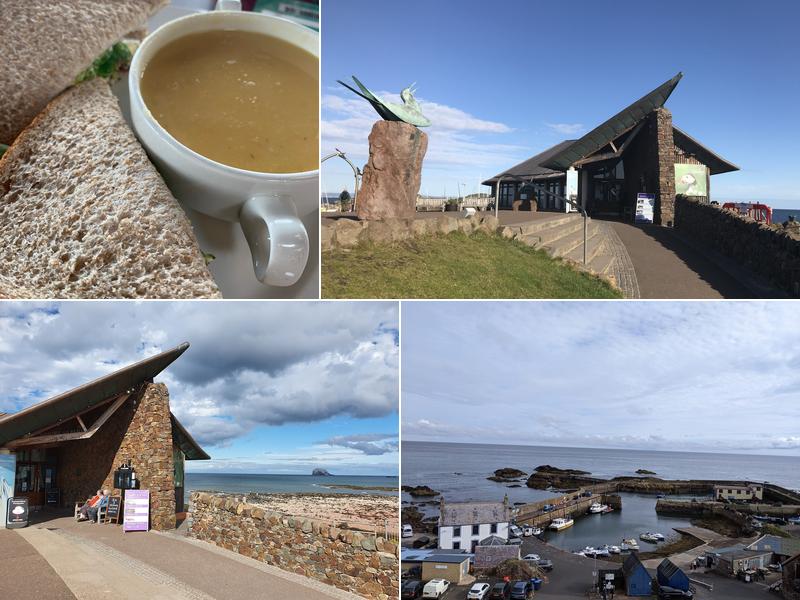 Scottish Seabird Centre