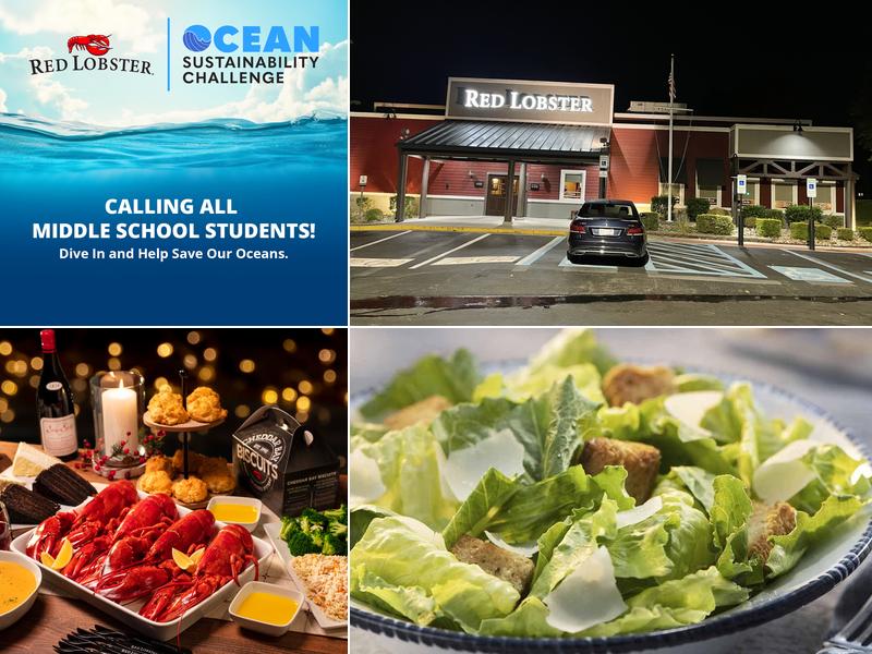 Red Lobster EAST RIDGE MALL, 200 N New Hope Rd, Gastonia