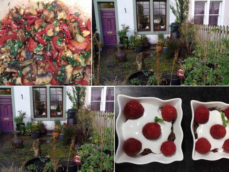 Vegan Lakeland Living