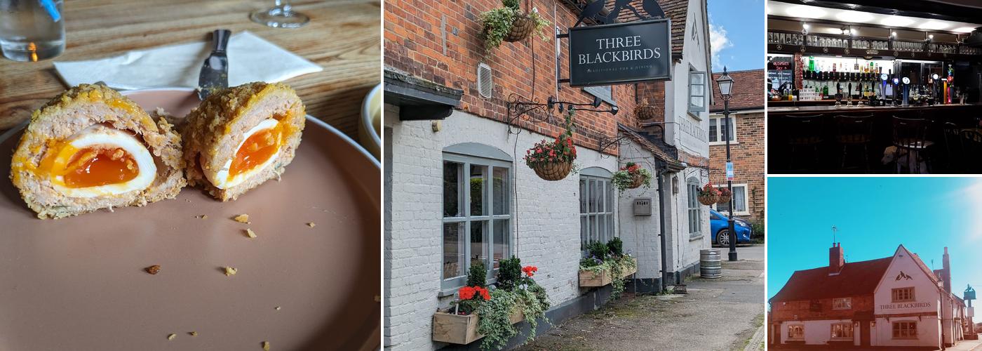 Three Blackbirds Flamstead