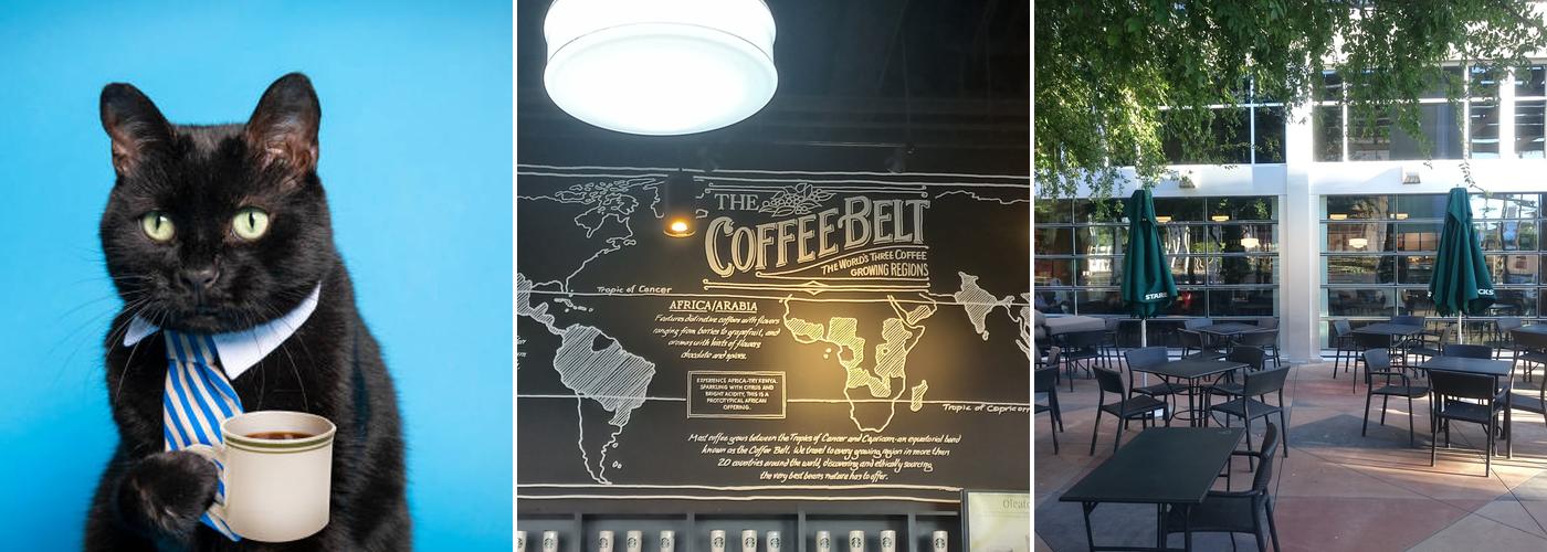 Starbucks Menu