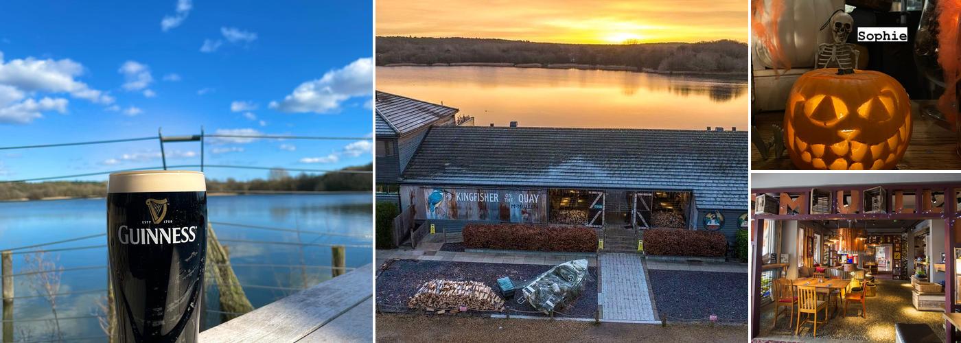 Kingfisher on The Quay