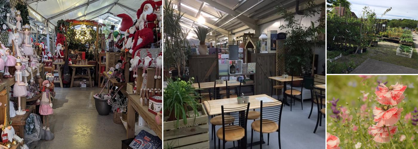 Country Lanes Garden Centre