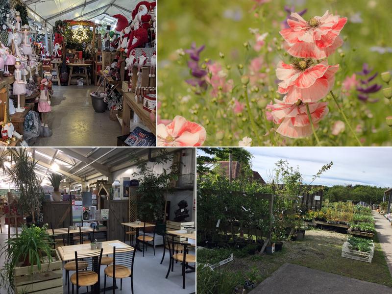 Country Lanes Garden Centre