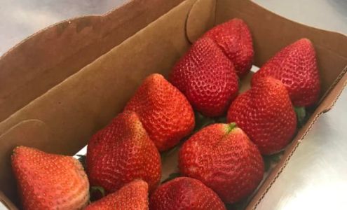 Mobil Parkers Prairie