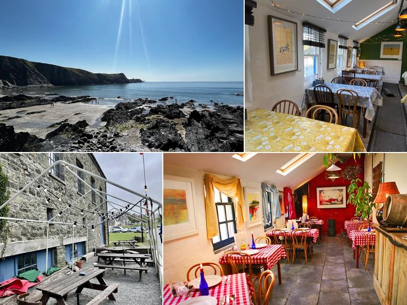 The Shed Fish & Chip Bistro