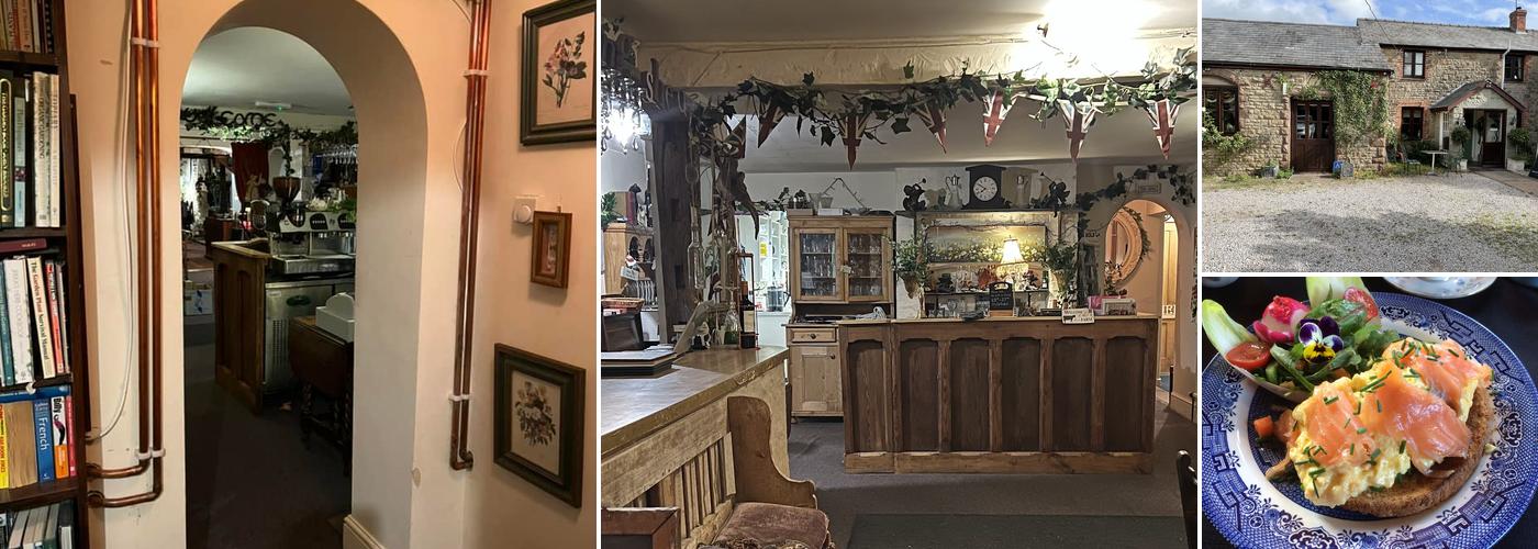 The Potting Shed Whitchurch