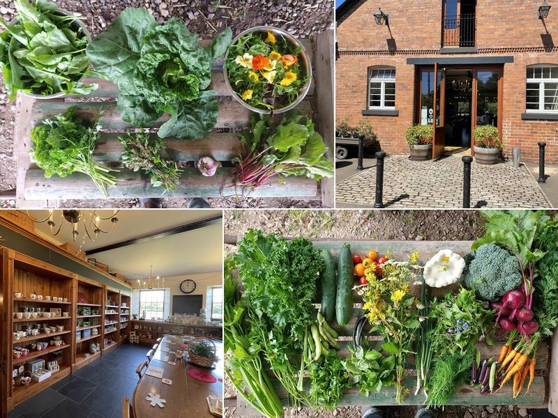 Balmakewan Farm Shop & Tea Room